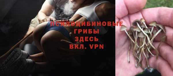 гашик Арсеньев