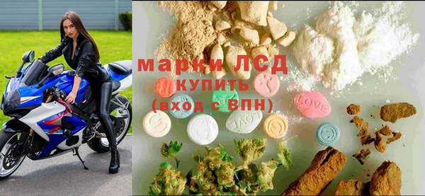 гашик Арсеньев